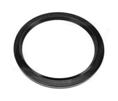 Simmerring KW hinten
